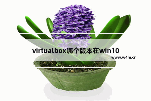 virtualbox哪个版本在win10上能用,win10升级不支持virtualbox