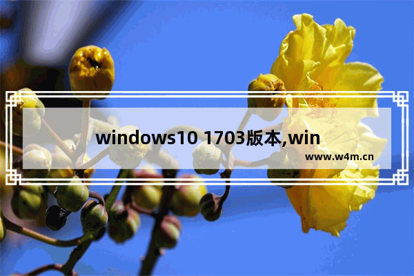 windows10 1703版本,win10-1703_2