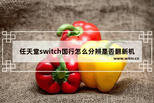 任天堂switch国行怎么分辨是否翻新机,switch怎么看是不是原装新机器