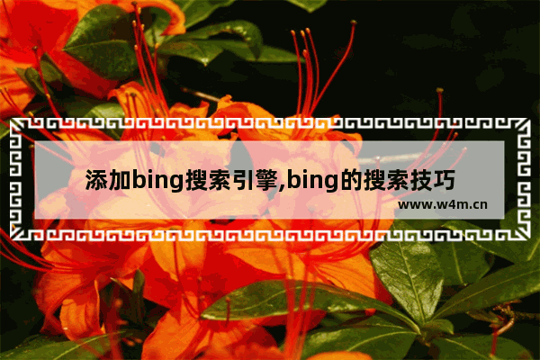 添加bing搜索引擎,bing的搜索技巧描述