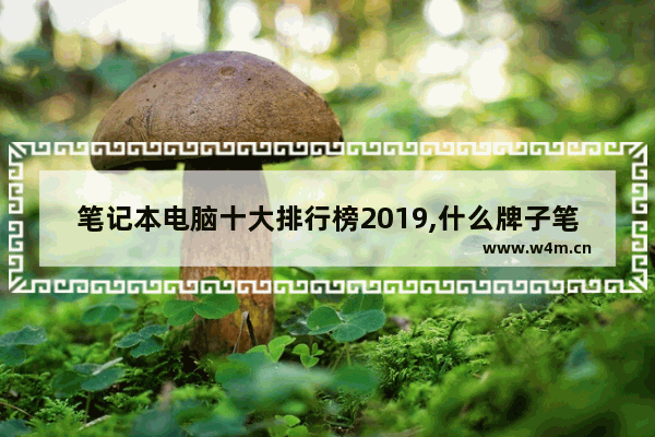 笔记本电脑十大排行榜2019,什么牌子笔记本电脑最好排行榜