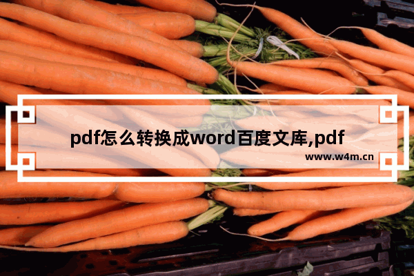 pdf怎么转换成word百度文库,pdf如何转变为word