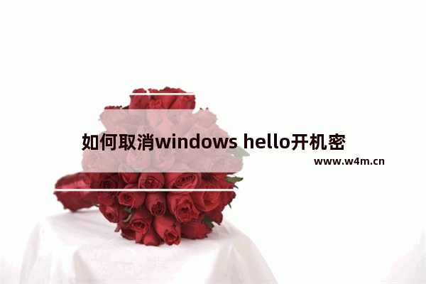 如何取消windows hello开机密码,windows hello安全密钥怎么使用