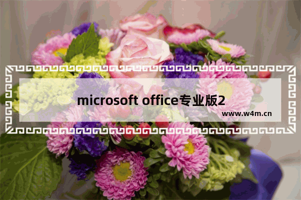 microsoft office专业版2016激活密钥,microsoft office2007激活密钥