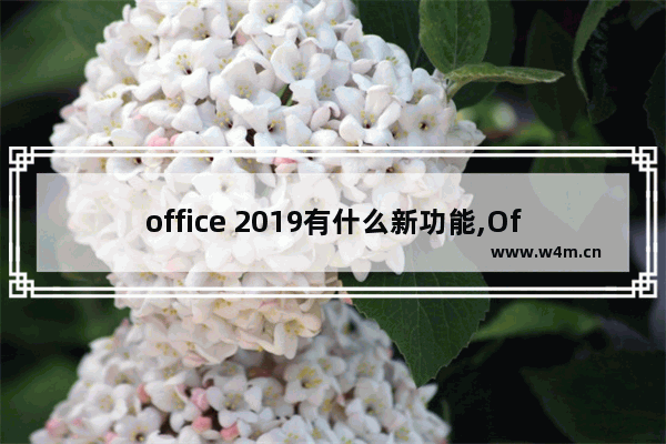 office 2019有什么新功能,Office2019新功能