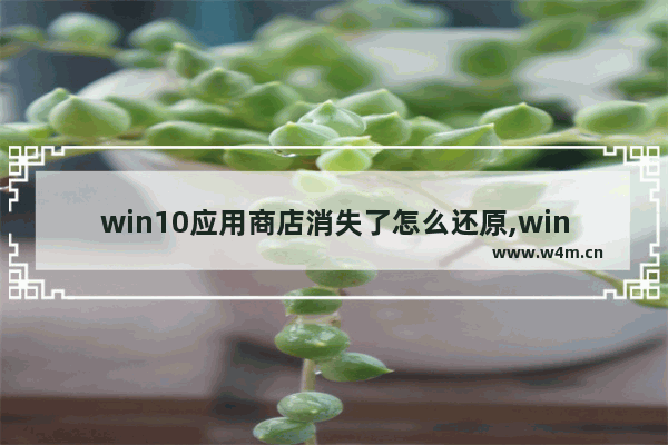 win10应用商店消失了怎么还原,win10商店消失了