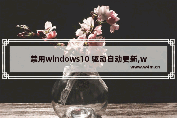 禁用windows10 驱动自动更新,win10自动更新留下的补丁