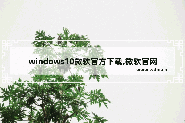 windows10微软官方下载,微软官网Windows10