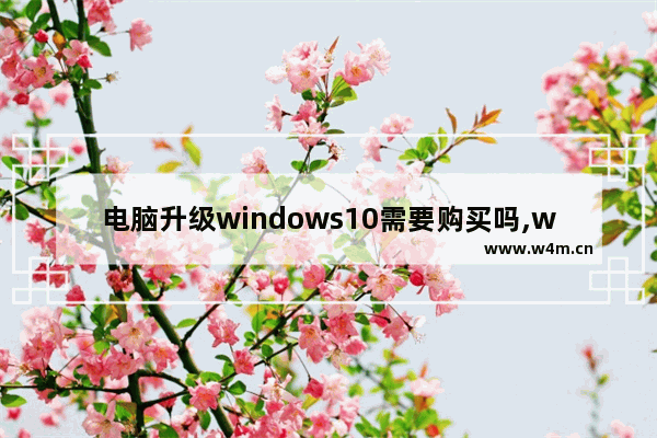 电脑升级windows10需要购买吗,window10如何升级正版