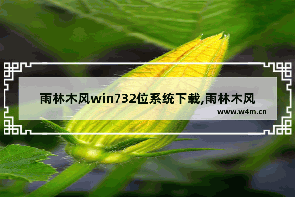 雨林木风win732位系统下载,雨林木风win7系统下载