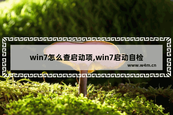 win7怎么查启动项,win7启动自检