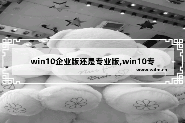 win10企业版还是专业版,win10专业版和企业版的到底有什么区别-