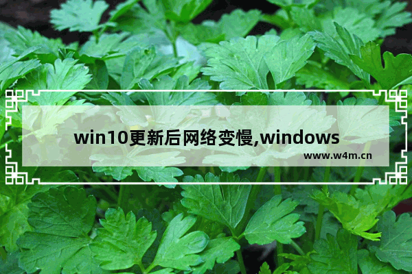 win10更新后网络变慢,windows10更新后网络变慢了