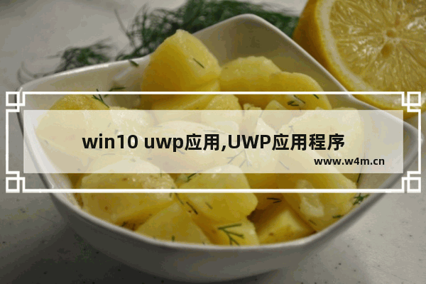 win10 uwp应用,UWP应用程序