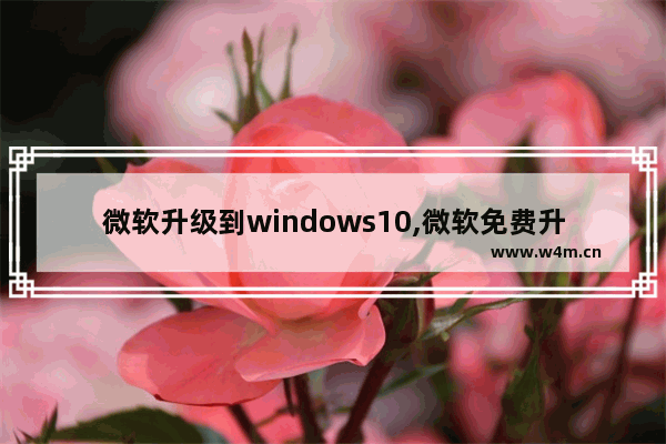 微软升级到windows10,微软免费升级到win10