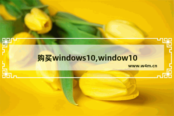 购买windows10,window10怎么购买