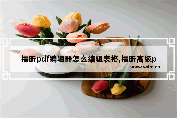 福昕pdf编辑器怎么编辑表格,福昕高级pdf编辑器pdf转word