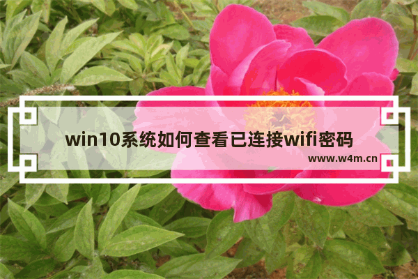 win10系统如何查看已连接wifi密码,如何查看win10已连接wifi密码