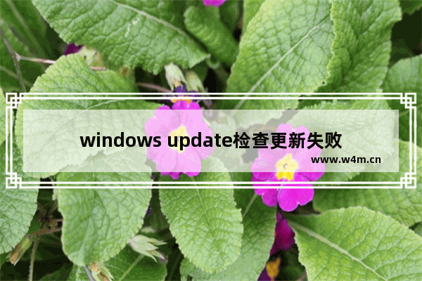 windows update检查更新失败怎么办,Windows检查更新失败