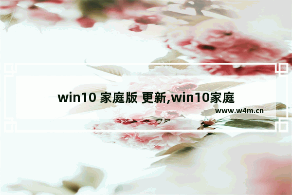 win10 家庭版 更新,win10家庭版本升级为专业版