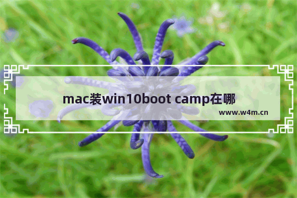 mac装win10boot camp在哪,苹果win10单系统 没有boot camp