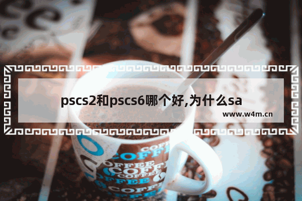 pscs2和pscs6哪个好,为什么sai比PS好用