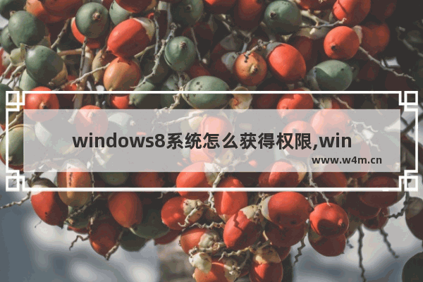 windows8系统怎么获得权限,windows用户权限详解