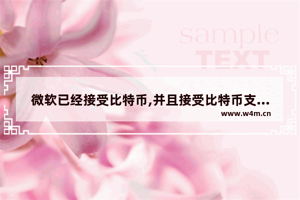 微软已经接受比特币,并且接受比特币支付怎么办,微软已经接受比特币,并且接受比特币支付怎么操作