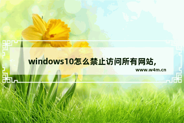 windows10怎么禁止访问所有网站,windows屏蔽网站