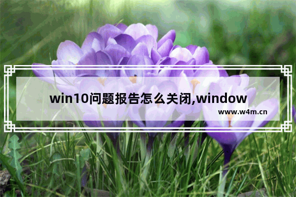 win10问题报告怎么关闭,windows错误报告在哪里