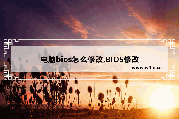 电脑bios怎么修改,BIOS修改