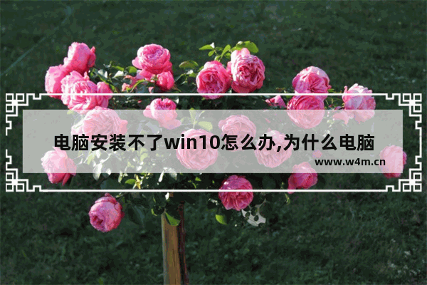 电脑安装不了win10怎么办,为什么电脑无法安装win10