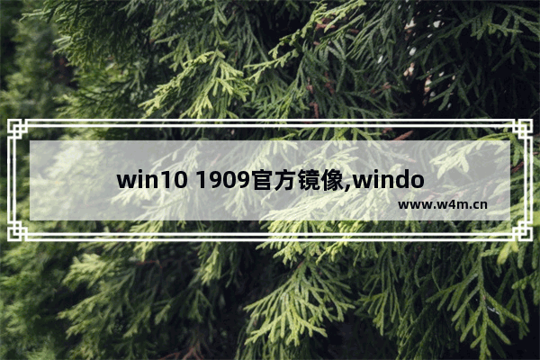 win10 1909官方镜像,windows10 1909镜像_1