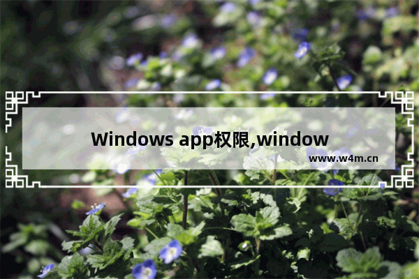 Windows app权限,windows apps权限