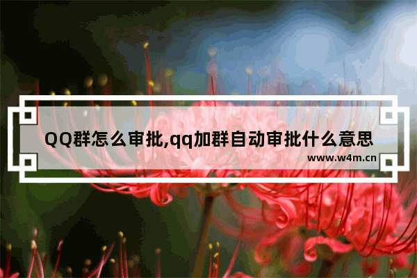 QQ群怎么审批,qq加群自动审批什么意思