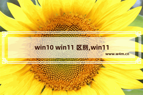 win10 win11 区别,win11系统和win10区别