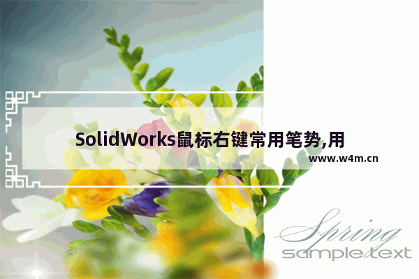 SolidWorks鼠标右键常用笔势,用solidworks画鼠标详细步骤