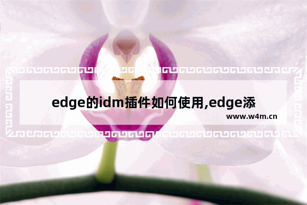 edge的idm插件如何使用,edge添加idm扩展