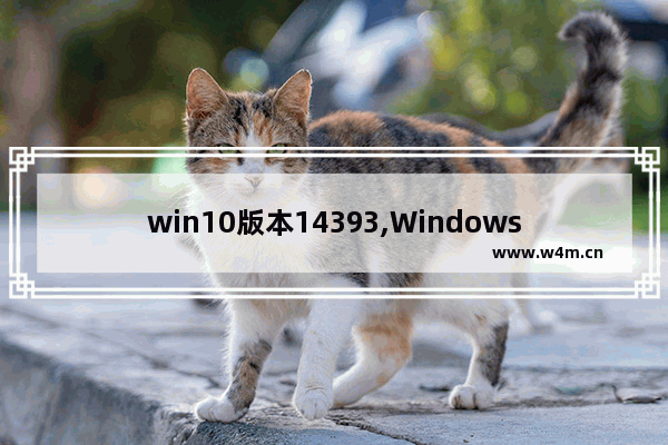 win10版本14393,Windows 10 Build 21343