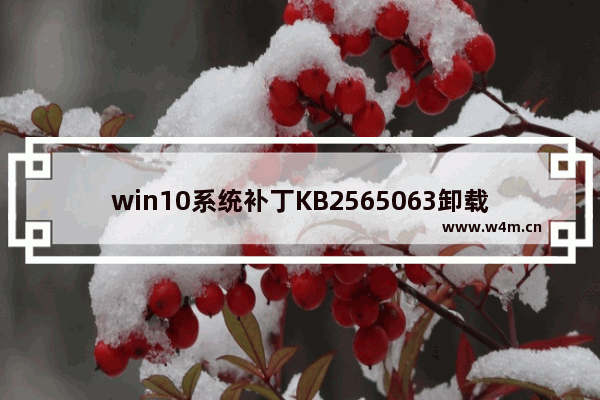 win10系统补丁KB2565063卸载,win10更新kb4023057