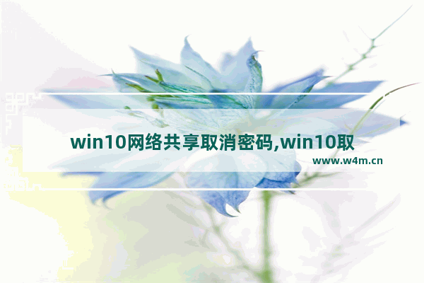 win10网络共享取消密码,win10取消局域网访问密码