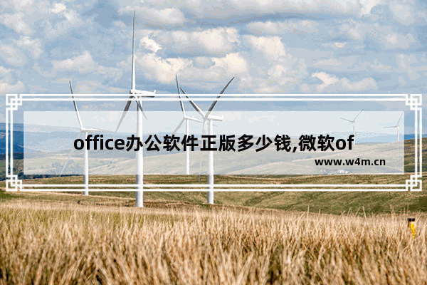 office办公软件正版多少钱,微软office正版软件多少钱