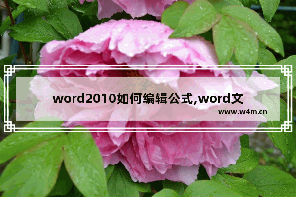 word2010如何编辑公式,word文档怎么设计公式