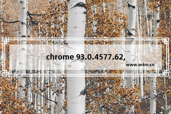 chrome 93.0.4577.62,google chrome 49.0.2623.105