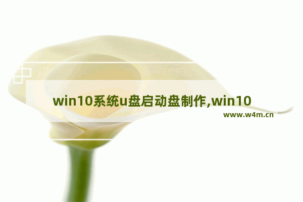 win10系统u盘启动盘制作,win10系统u盘安装教程,利用微软官方工具制作U盘安装Win10系统