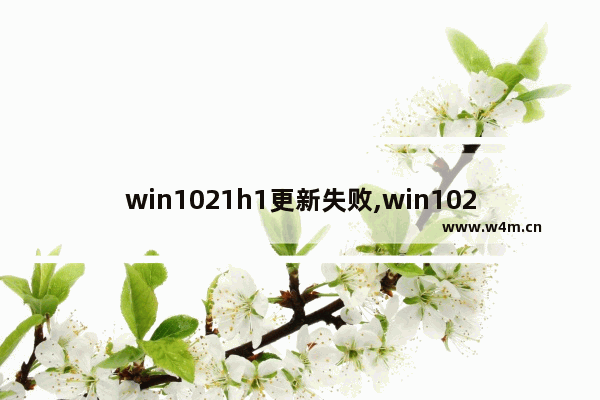 win1021h1更新失败,win1021h1更新后死机