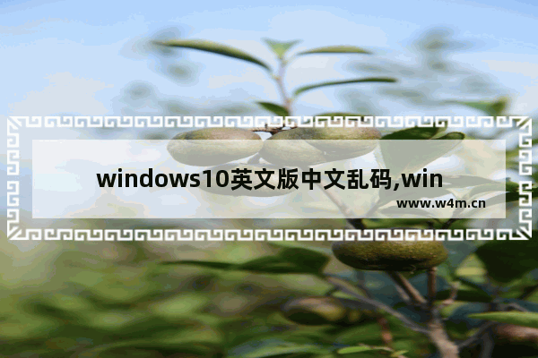 windows10英文版中文乱码,window 10 英文系统 中文乱码