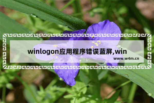 winlogon应用程序错误蓝屏,winlogon.exe 错误