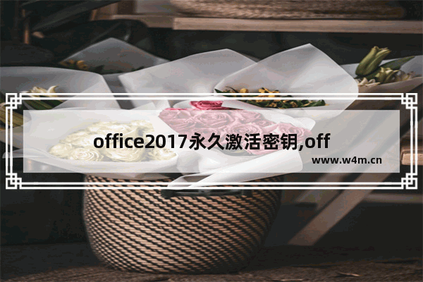 office2017永久激活密钥,office2016激活产品密钥