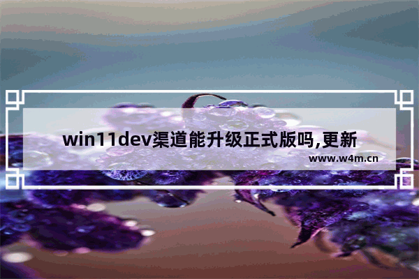 win11dev渠道能升级正式版吗,更新win11选择哪个渠道